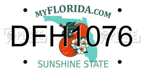 DFH1076 Florida License Plate