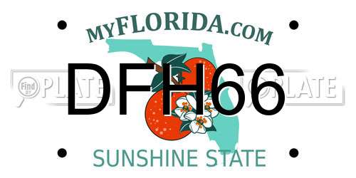 DFH66 Florida License Plate