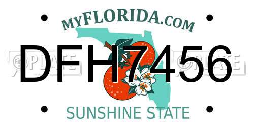 DFH7456 Florida License Plate