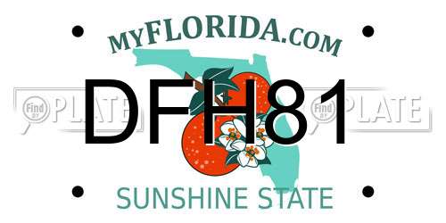 DFH81 Florida License Plate