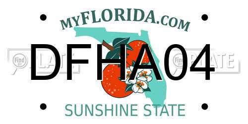 DFHA04 Florida License Plate