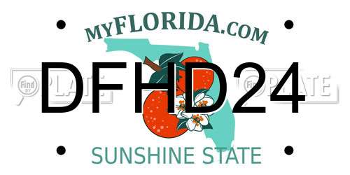 DFHD24 Florida License Plate