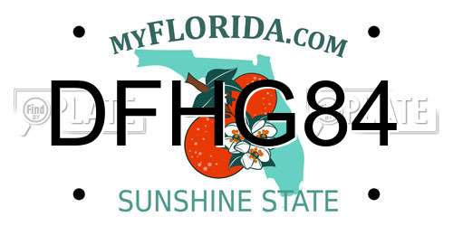 DFHG84 Florida License Plate