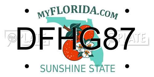 DFHG87 Florida License Plate