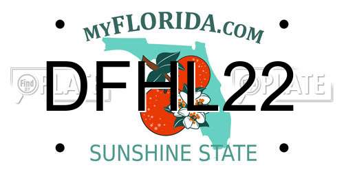 DFHL22 Florida License Plate