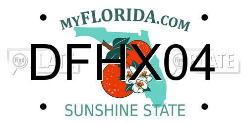 DFHX04 Florida License Plate