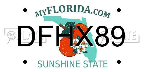 DFHX89 Florida License Plate