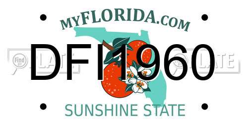 DFI1960 Florida License Plate