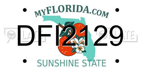 DFI2129 Florida License Plate