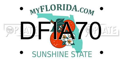 DFIA70 Florida License Plate