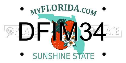 DFIM34 Florida License Plate
