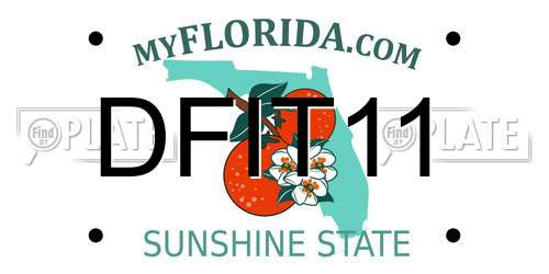 DFIT11 Florida License Plate