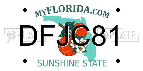 DFJC81 Florida License Plate