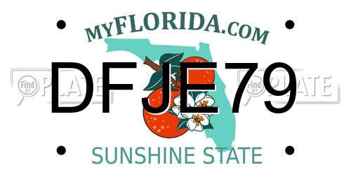 DFJE79 Florida License Plate