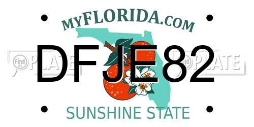 DFJE82 Florida License Plate