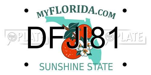 DFJI81 Florida License Plate