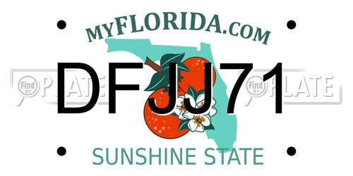 DFJJ71 Florida License Plate