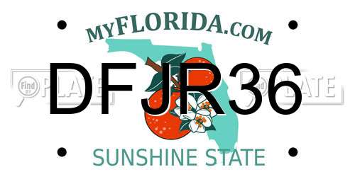DFJR36 Florida License Plate