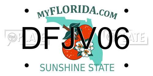 DFJV06 Florida License Plate