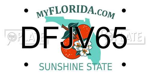 DFJV65 Florida License Plate