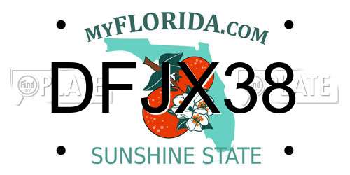 DFJX38 Florida License Plate