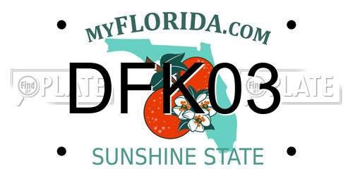 DFK03 Florida License Plate