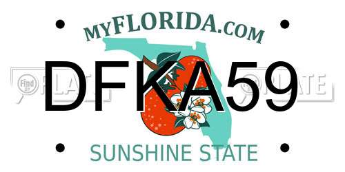 DFKA59 Florida License Plate