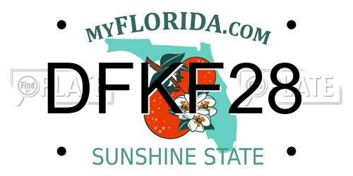 DFKF28 Florida License Plate