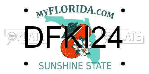 DFKI24 Florida License Plate