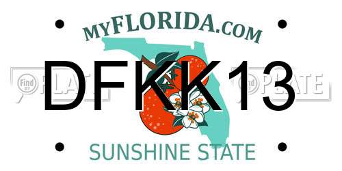 DFKK13 Florida License Plate