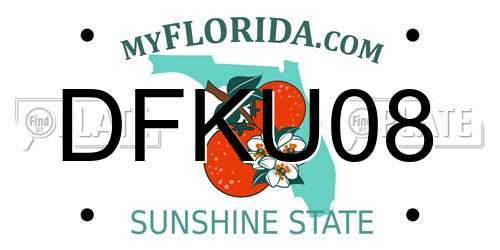 DFKU08 Florida License Plate