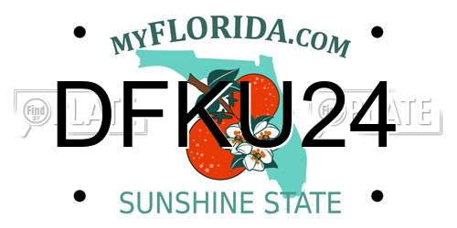 DFKU24 Florida License Plate