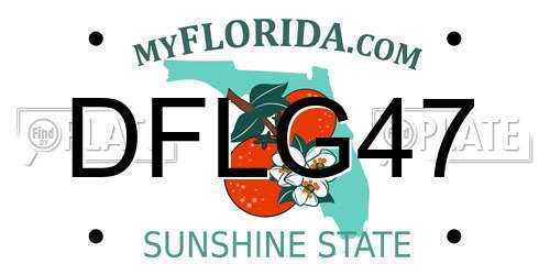 DFLG47 Florida License Plate
