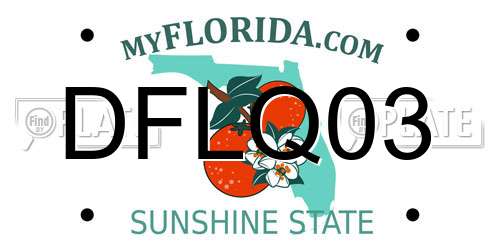 DFLQ03 Florida License Plate