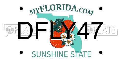 DFLY47 Florida License Plate