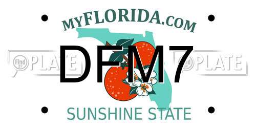 DFM7 Florida License Plate