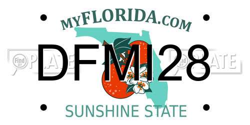 DFMI28 Florida License Plate