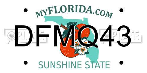 DFMQ43 Florida License Plate