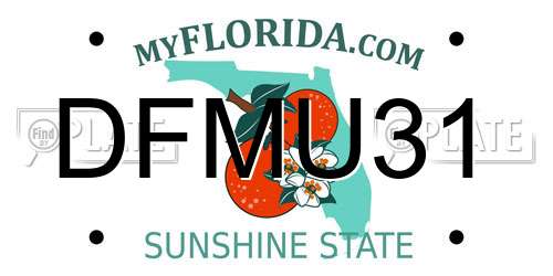 DFMU31 Florida License Plate