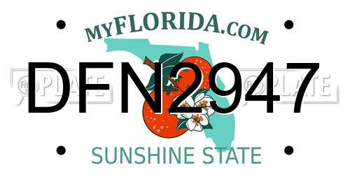 DFN2947 Florida License Plate