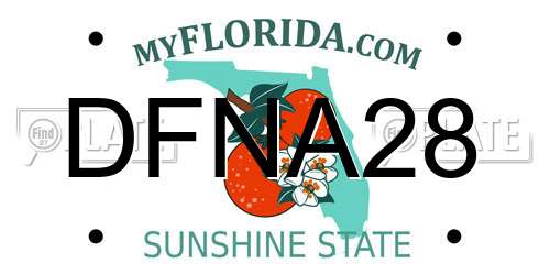 DFNA28 Florida License Plate