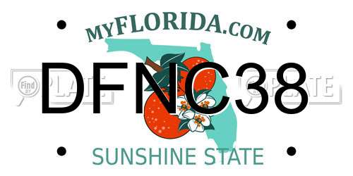 DFNC38 Florida License Plate