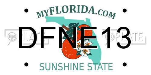 DFNE13 Florida License Plate