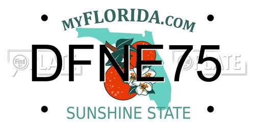 DFNE75 Florida License Plate
