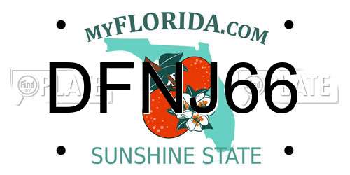 DFNJ66 Florida License Plate