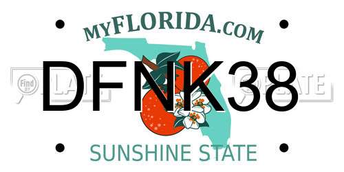 DFNK38 Florida License Plate