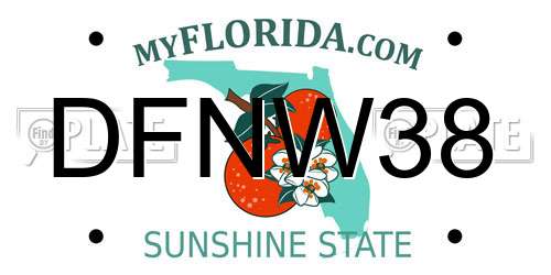 DFNW38 Florida License Plate