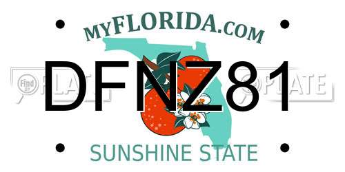 DFNZ81 Florida License Plate