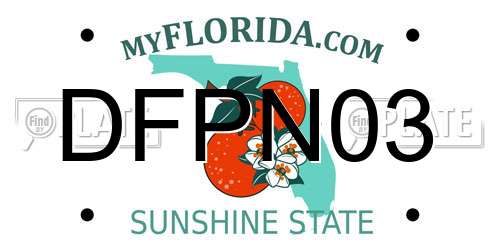 DFPN03 Florida License Plate