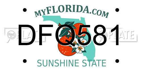 DFQ581 Florida License Plate